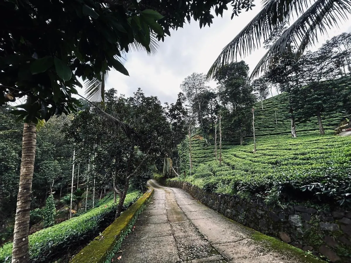 Mist Wayanad Hotel