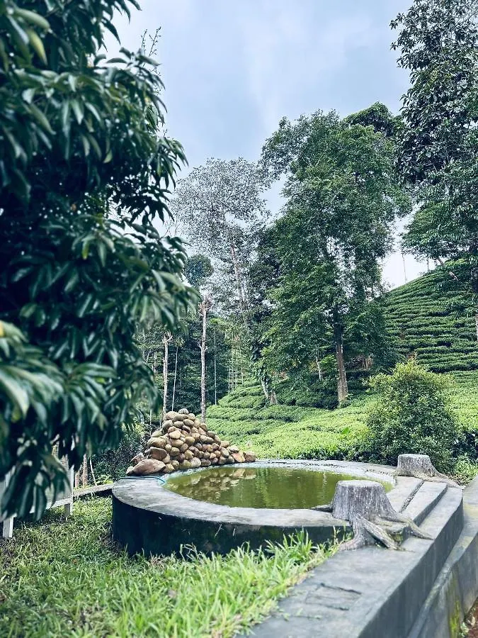 Mist Wayanad Otel
