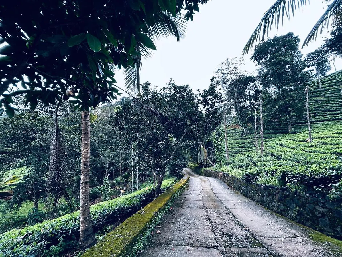 Mist Wayanad Otel