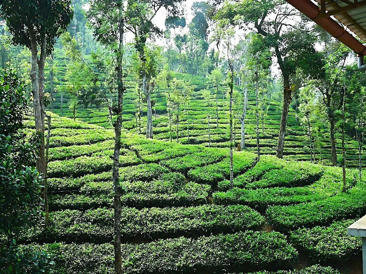 Hotel Mist Wayanad